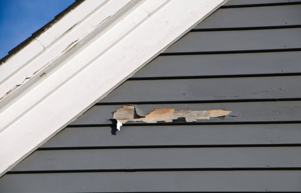 Best Engineered Wood Siding  in White City, FL